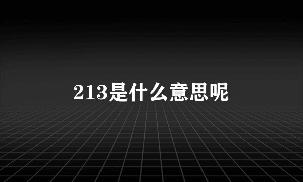 213是什么意思呢