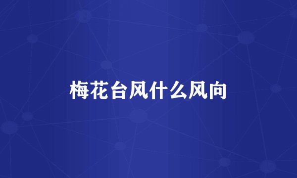 梅花台风什么风向