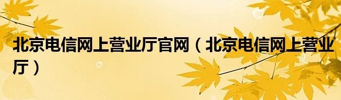 北京电信网上营业厅官网(北京电信网上营业厅)