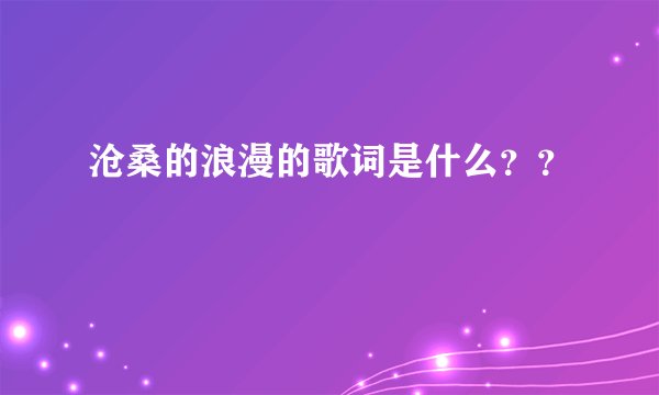 沧桑的浪漫的歌词是什么？？