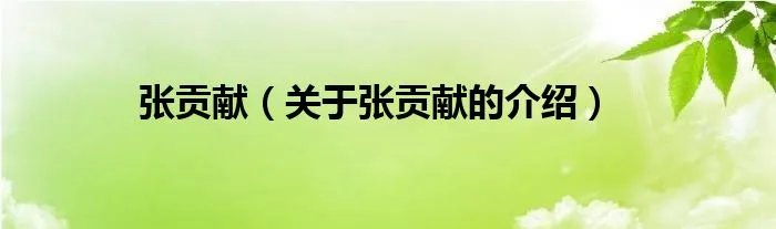 张贡献(关于张贡献的介绍)
