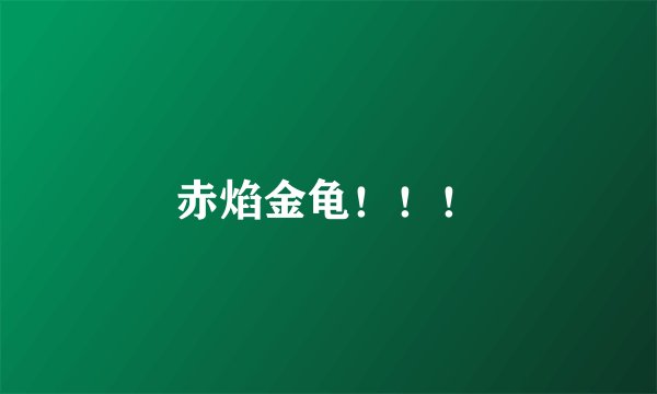 赤焰金龟!!!