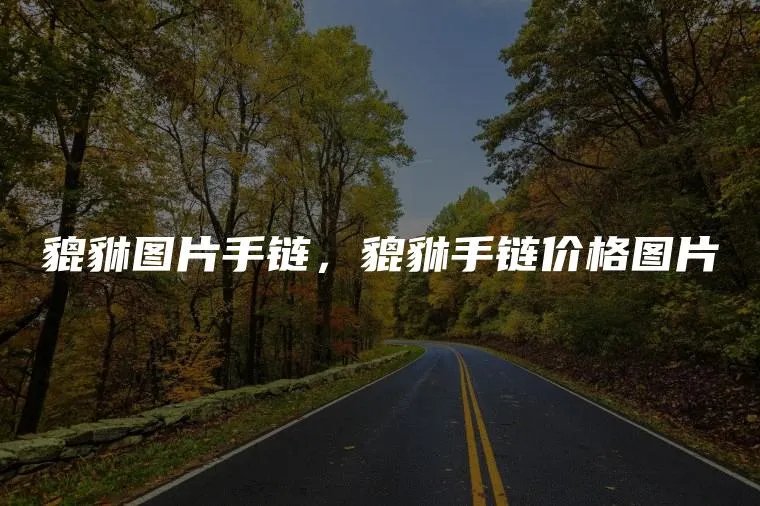 貔貅图片手链，貔貅手链价格图片