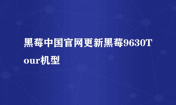 黑莓中国官网更新黑莓9630Tour机型
