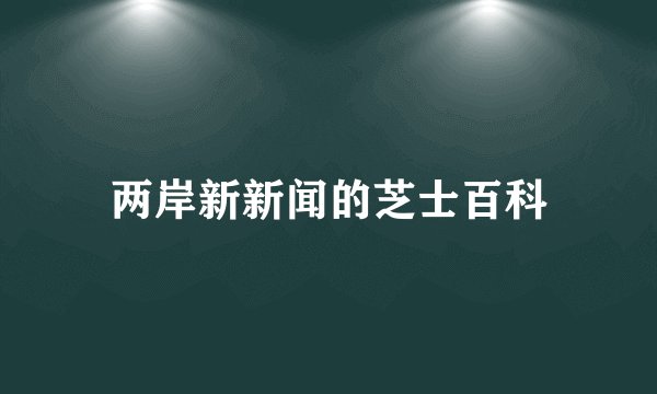 两岸新新闻的芝士百科