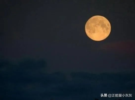 我本将心向明月,奈何明月照沟渠这话什么意思？