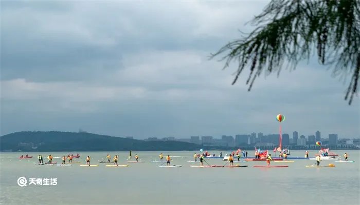 赛龙舟在哪个地方举行