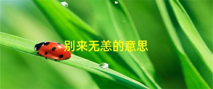 别来无恙的意思