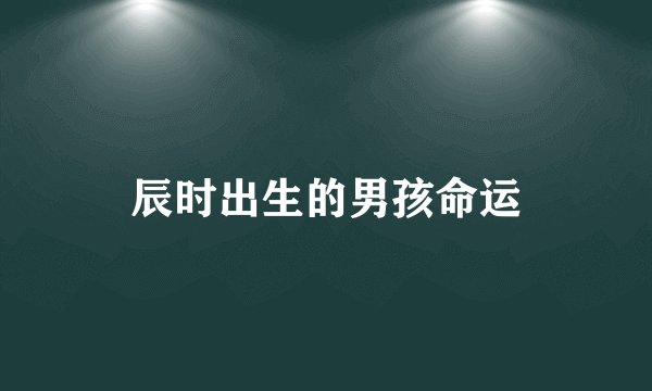 辰时出生的男孩命运
