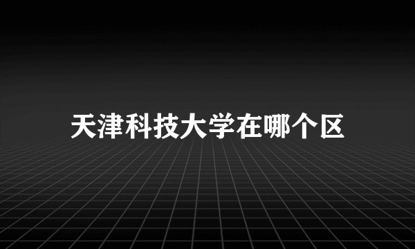 天津科技大学在哪个区