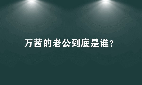 万茜的老公到底是谁？