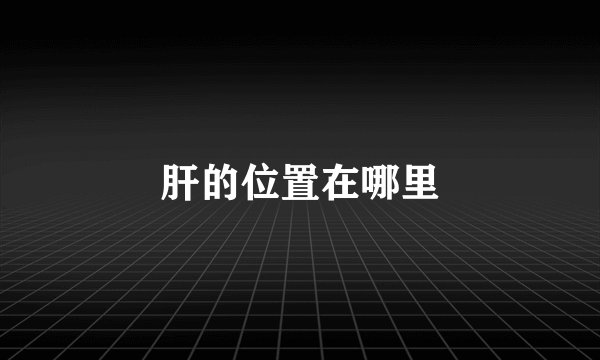 肝的位置在哪里