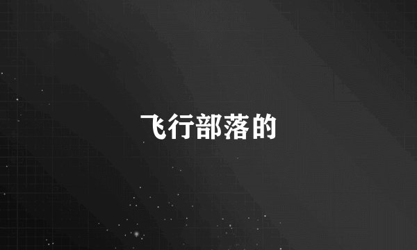 飞行部落的