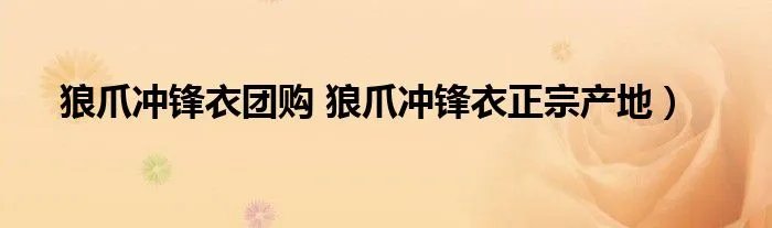 狼爪冲锋衣团购 狼爪冲锋衣正宗产地)