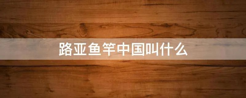路亚鱼竿中国叫什么