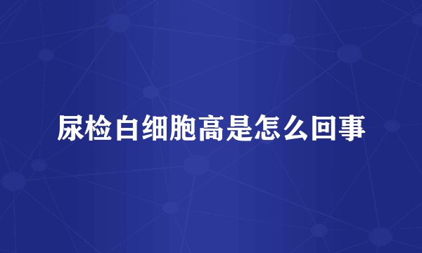 尿检白细胞高是怎么回事