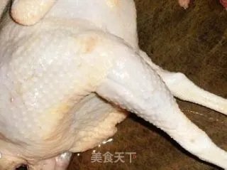 鸡煲