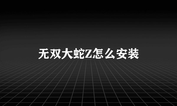 无双大蛇Z怎么安装