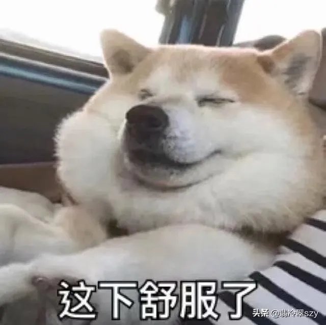 英雄联盟老鼠哪个皮肤手感好?
