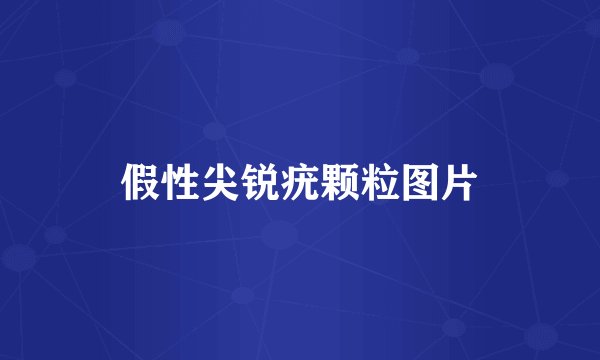 假性尖锐疣颗粒图片