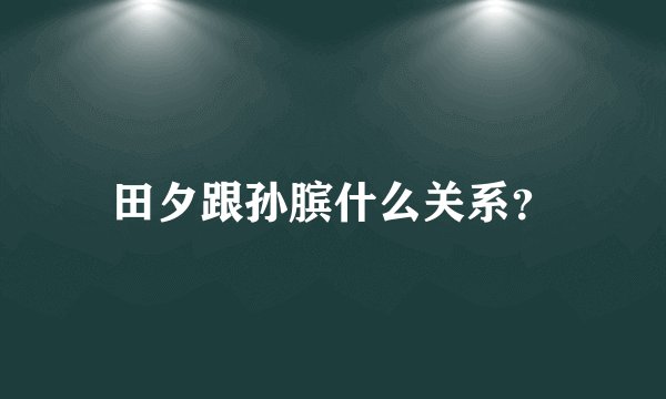 田夕跟孙膑什么关系？