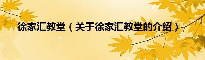 徐家汇教堂(关于徐家汇教堂的介绍)