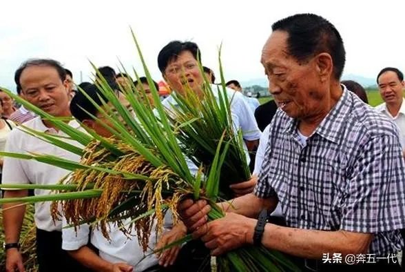 农业科技人才