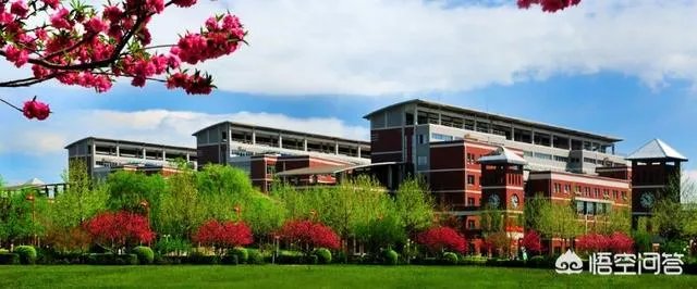近几年河北大学毕业生的就业率怎么样?