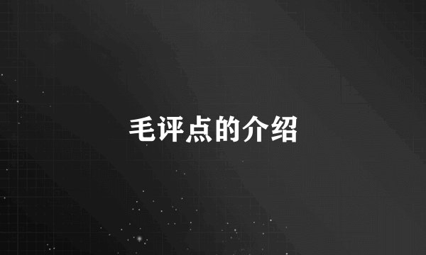 毛评点的介绍
