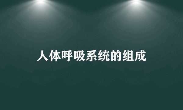 人体呼吸系统的组成