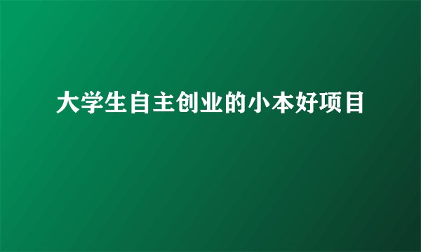 大学生自主创业的小本好项目