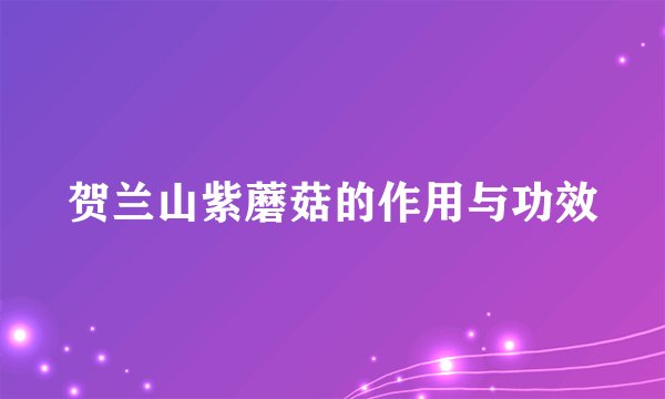 贺兰山紫蘑菇的作用与功效
