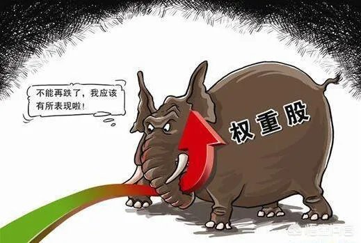 什么叫护盘?为什么要护盘?护盘的都是谁?