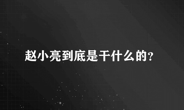 赵小亮到底是干什么的？