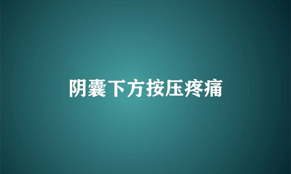 阴囊下方按压疼痛