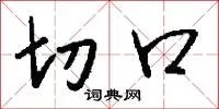 切口