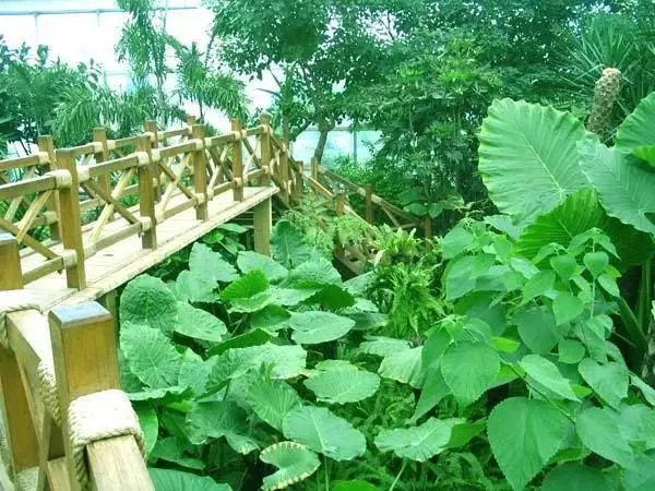 石家庄有哪些城市文化名片？
