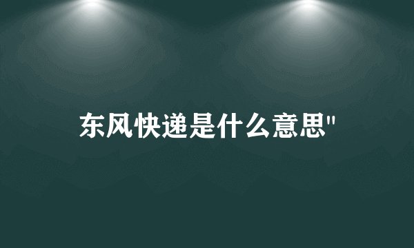 东风快递是什么意思