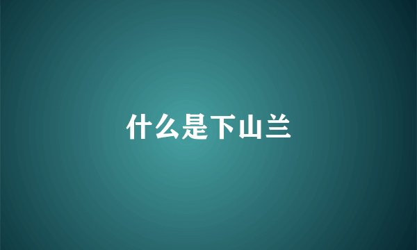 oppo手机记事本在哪里打开?