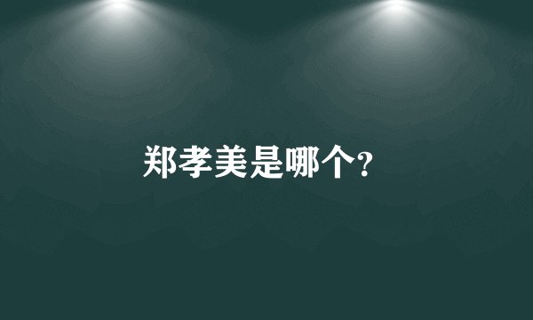 郑孝美是哪个？