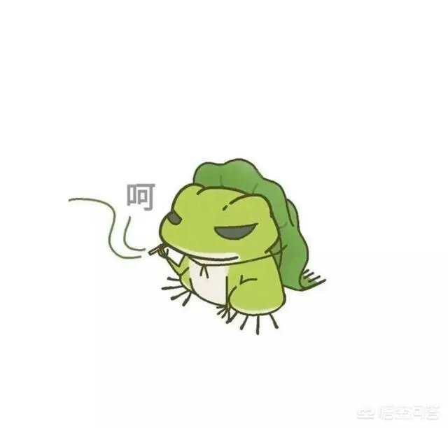 如何看待泰国女子养豹当宠物称是朋友这件事?