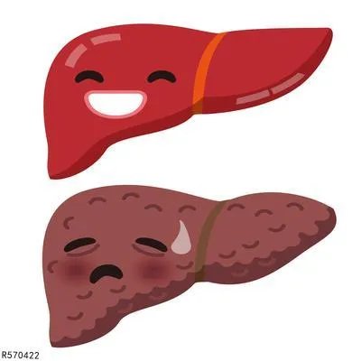 甲肝早期症状有哪些 多了解甲肝早期的3大症状