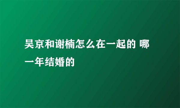 吴京和谢楠怎么在一起的 哪一年结婚的