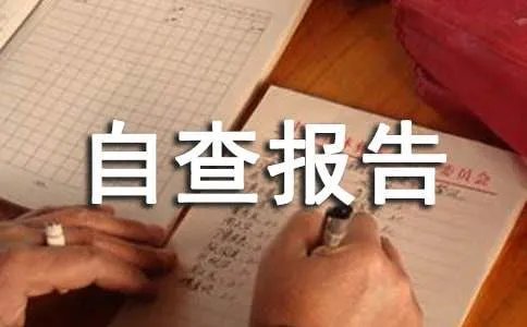 安全生产自查报告