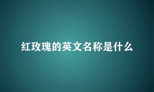 实习单位考核鉴定意见
