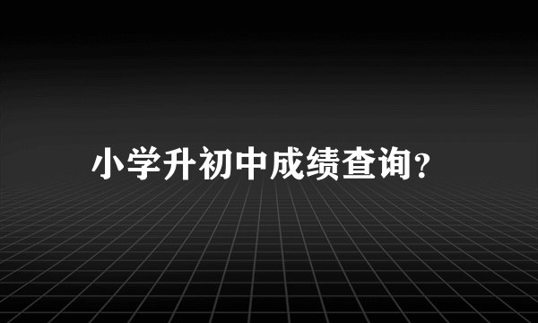 小学升初中成绩查询？