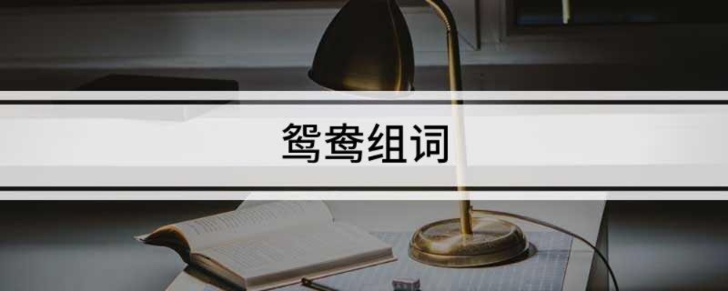 鸳鸯组词