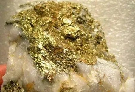 金都招远