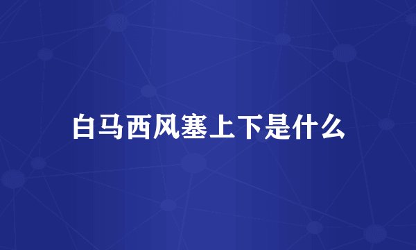 白马西风塞上下是什么
