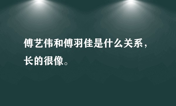 傅艺伟和傅羽佳是什么关系，长的很像。